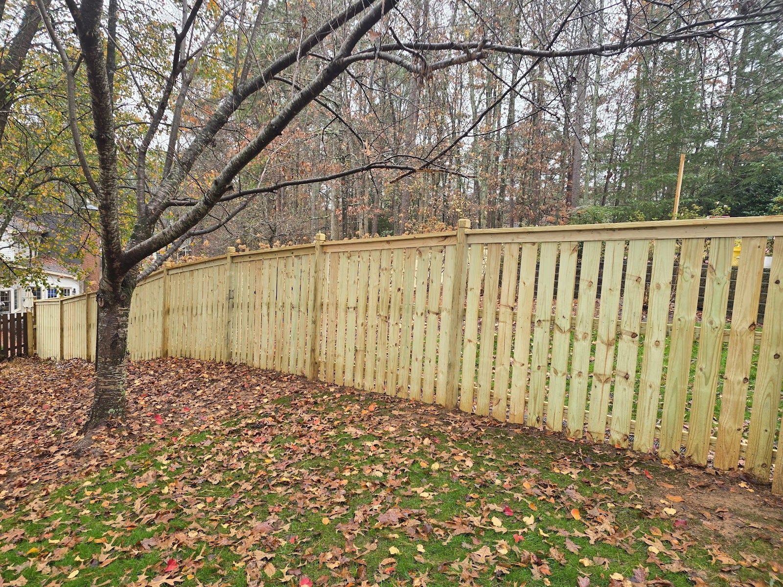Leaf-covered yard beside a weathered wooden fence and bare trees in autumn.