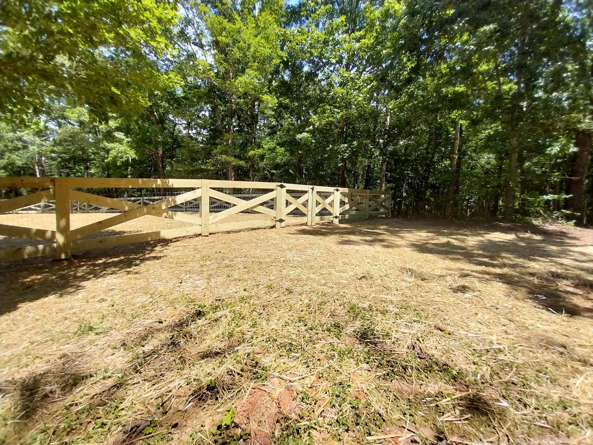 Wooded path beside a white wooden fence on a sunny day