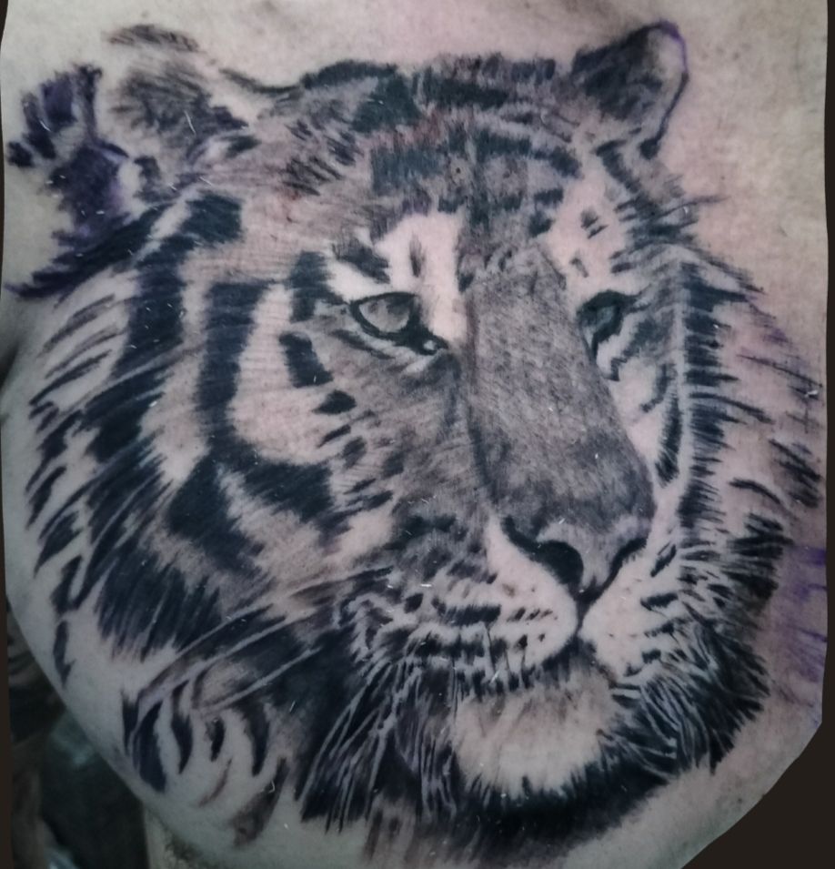 Black & grey realistic tiger tattoo.
Tattoo by Arek at HD Ink Tattoos , Bathgate, West Lothian.