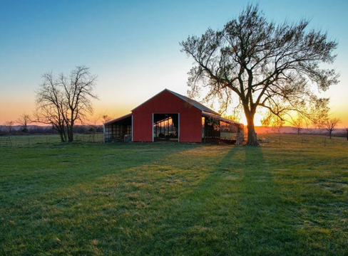 Texas ranch landscape representing insurance services for Texas homeowners, farms, and ranches