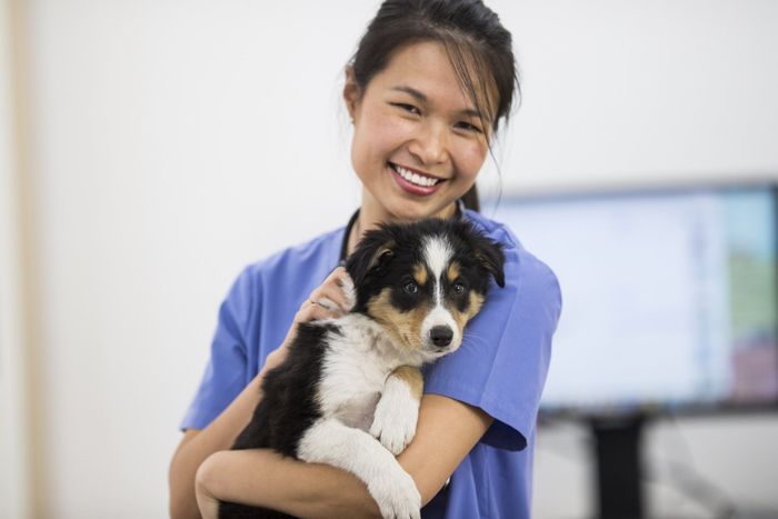 Woman With Dog — Beatrice, NE — Beatrice Animal Hospital Woman With Dog — Beatrice, NE — Beatrice Animal Hospital