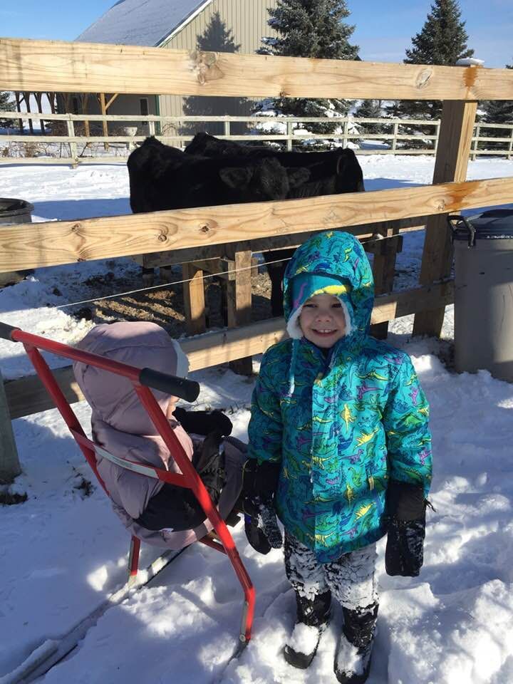 kids farm