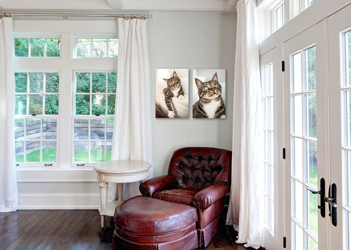 Bright sunroom with white walls, large windows, a red leather chair, and two cat portraits on the wall in Fishers.