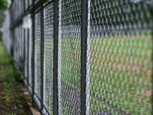 A chain-link fence stretches into the distance, separating a grassy area from the foreground.