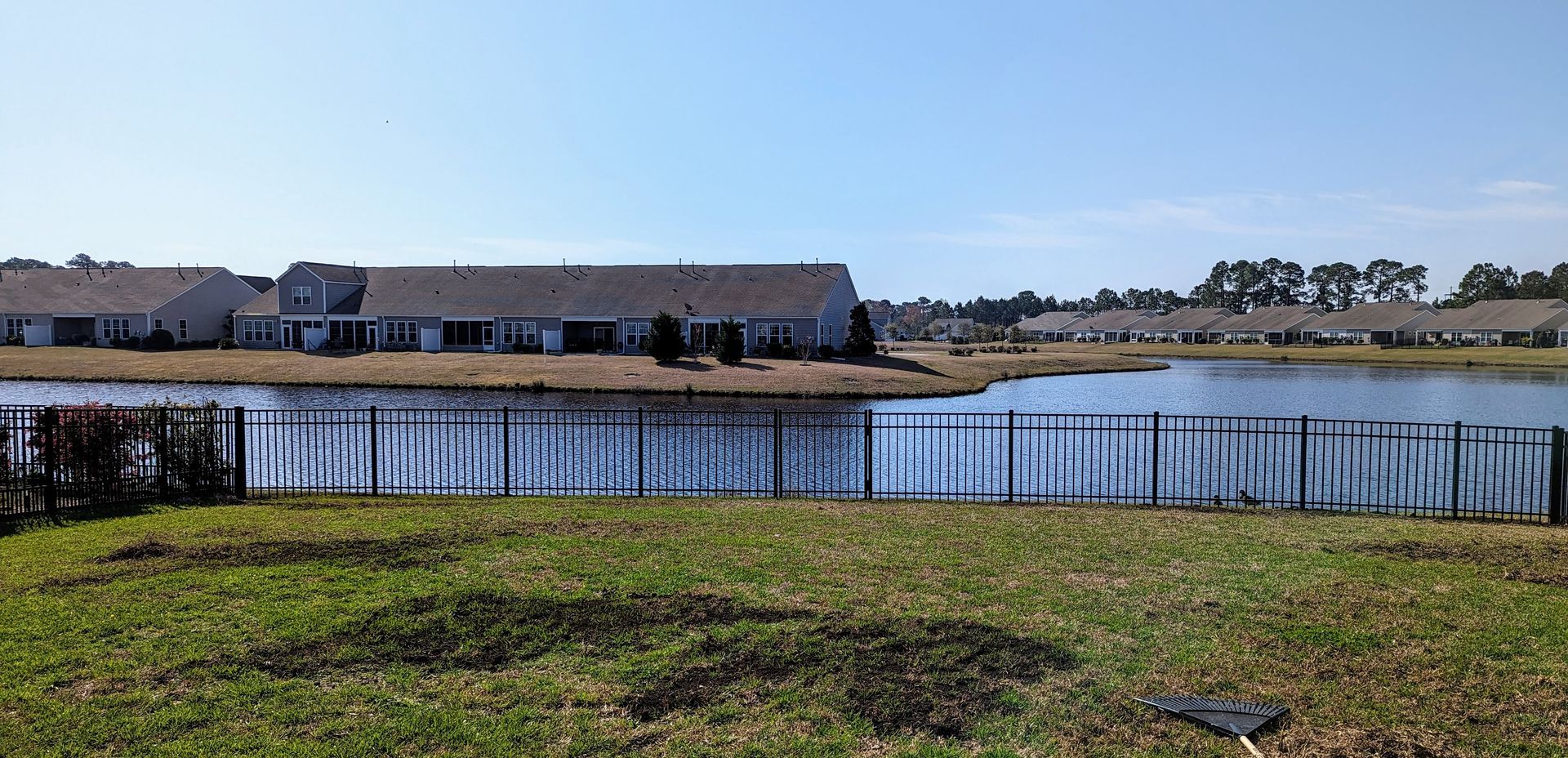 A suburban view of a grassy backyard, a black metal fence, a pond, and a row of houses under a clear blue sky.