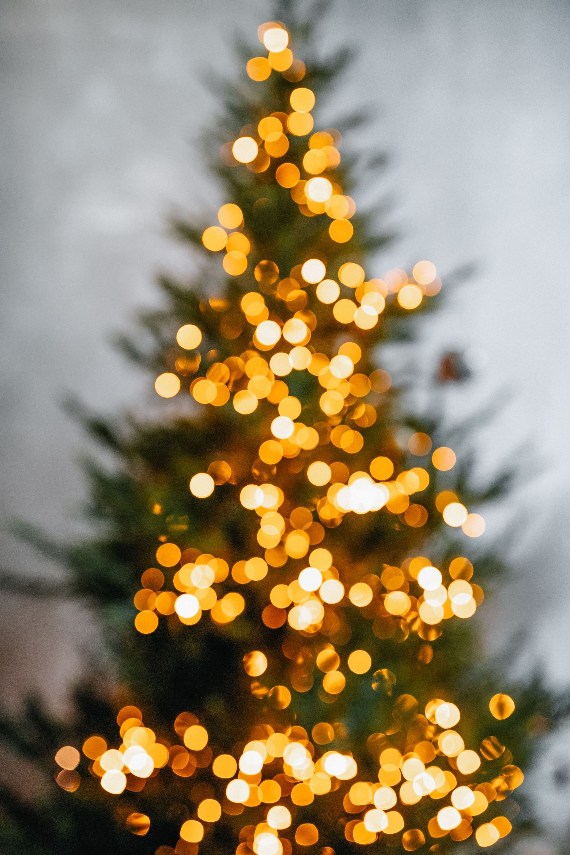Christmas Caorl Concert