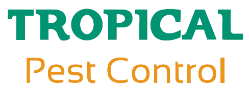 Termite & Pest Control in Mackay