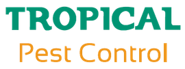 Termite & Pest Control in Mackay Termite & Pest Control in Mackay