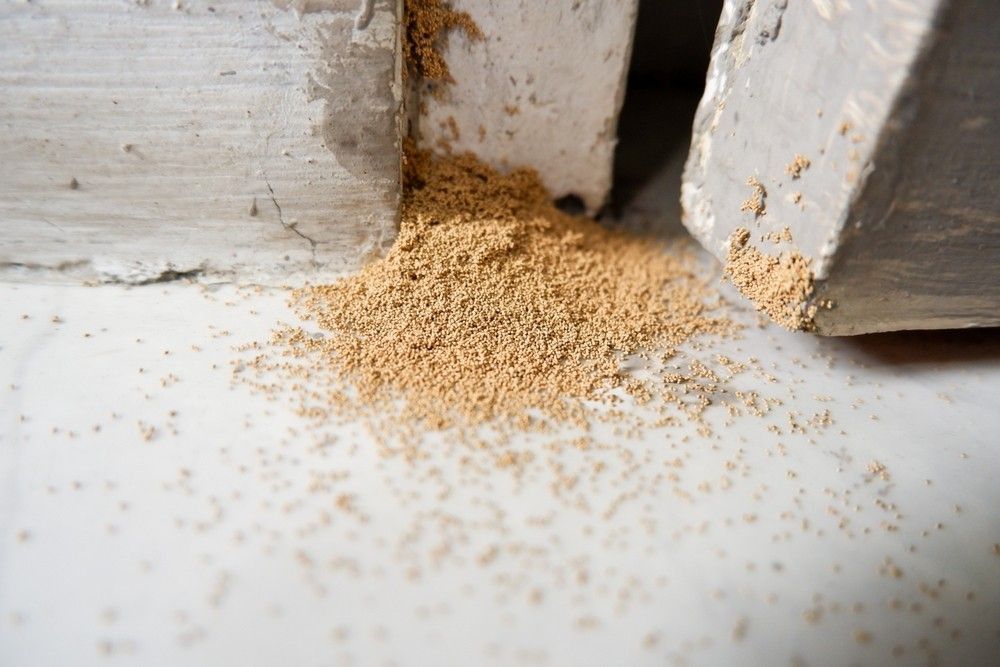 A Pile Of Termites Droppings On A White Surface — Tropical Pest Control In Mackay, QLD