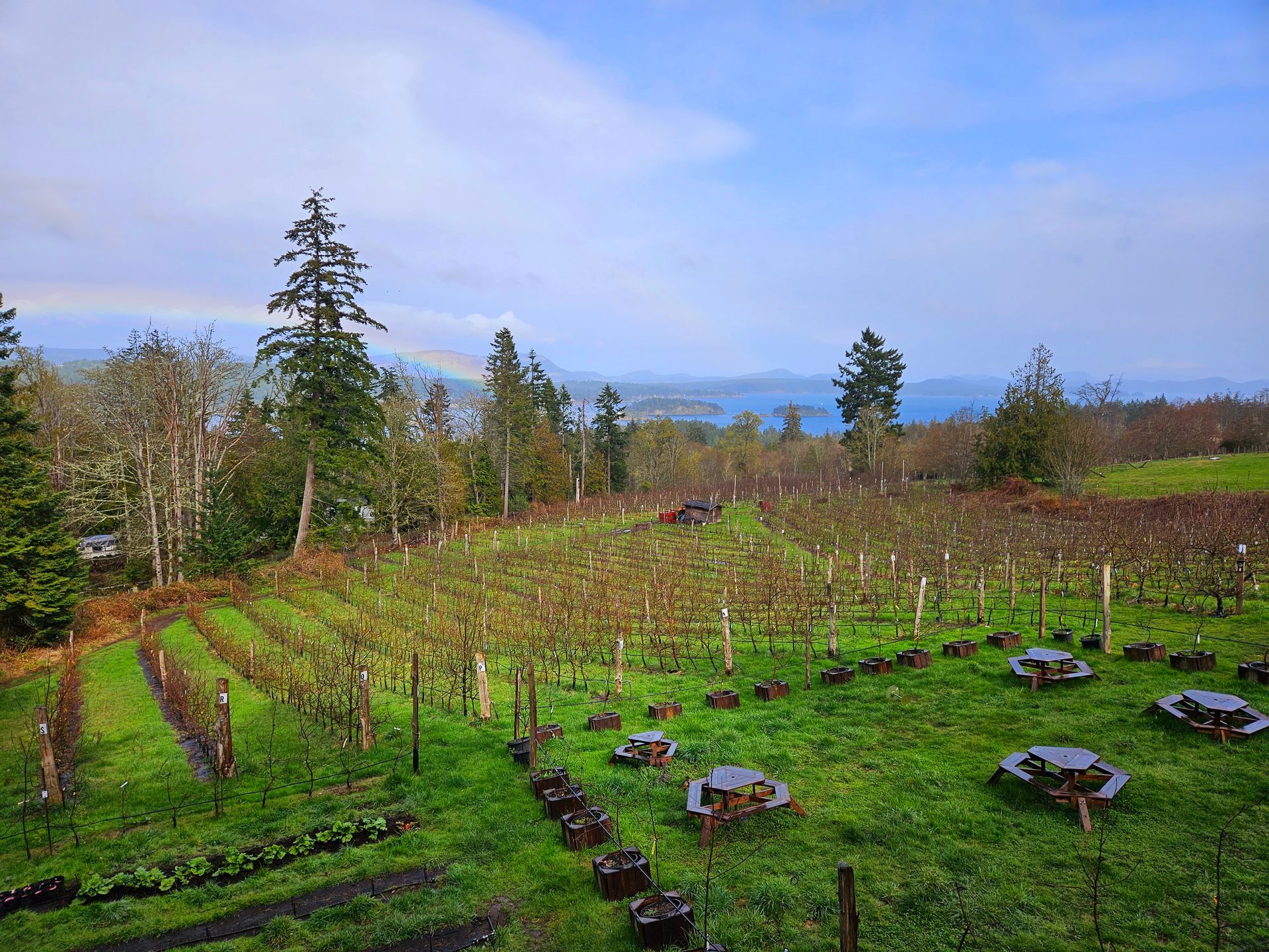 Salt Spring Hop On Tour - Cider Works Farm