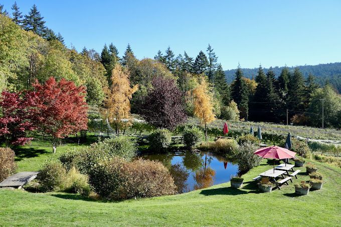 Salt Spring Hop On Tour - Winery Vineyard