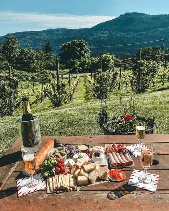 Photo Credit - Cecily Protsack Salt Spring Vineyards