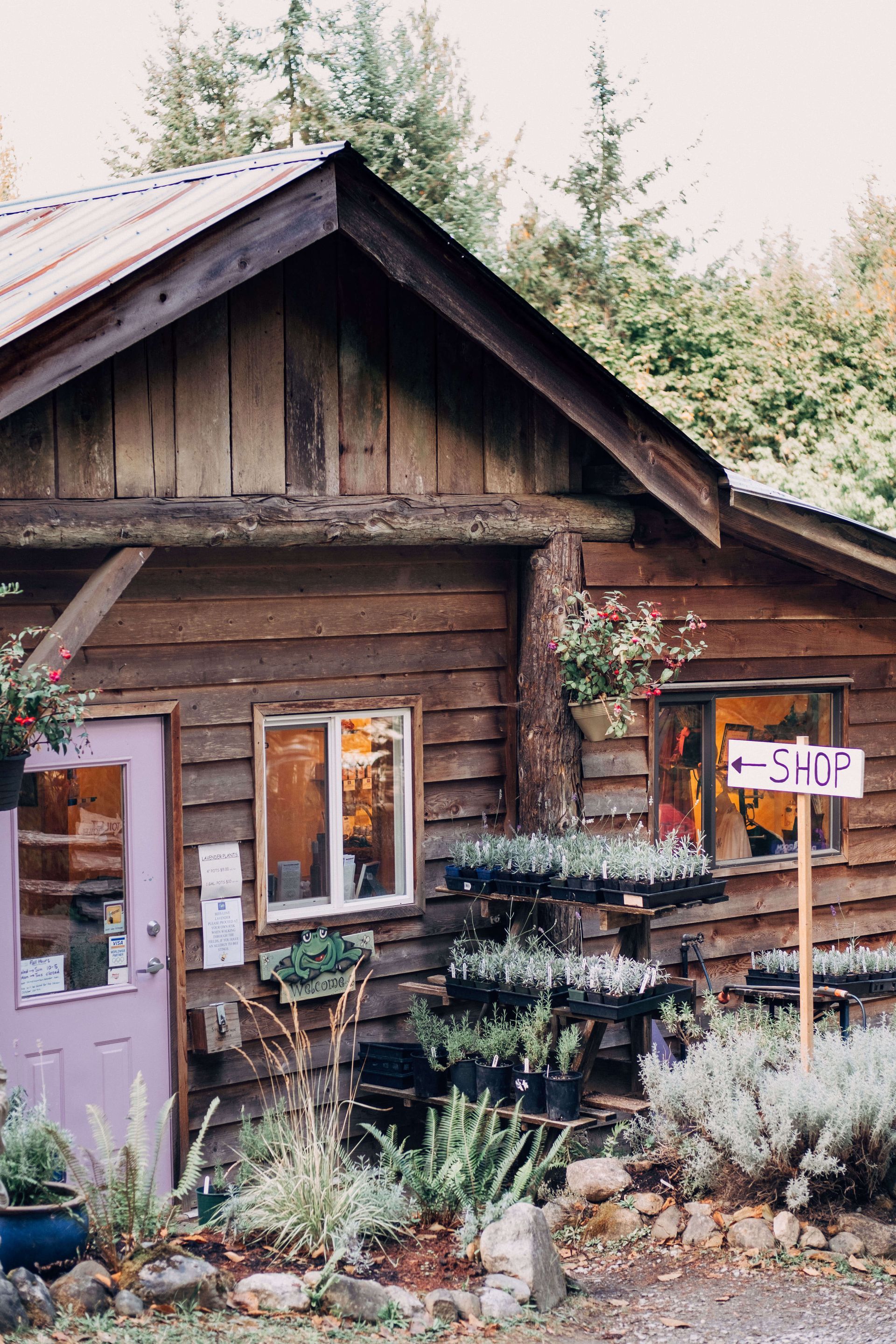 Sacred Mountain Lavender - building