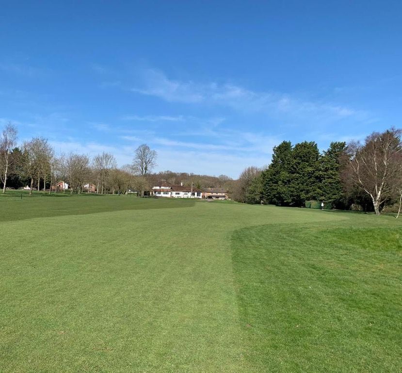 A lush green field with trees in the background on a sunny day