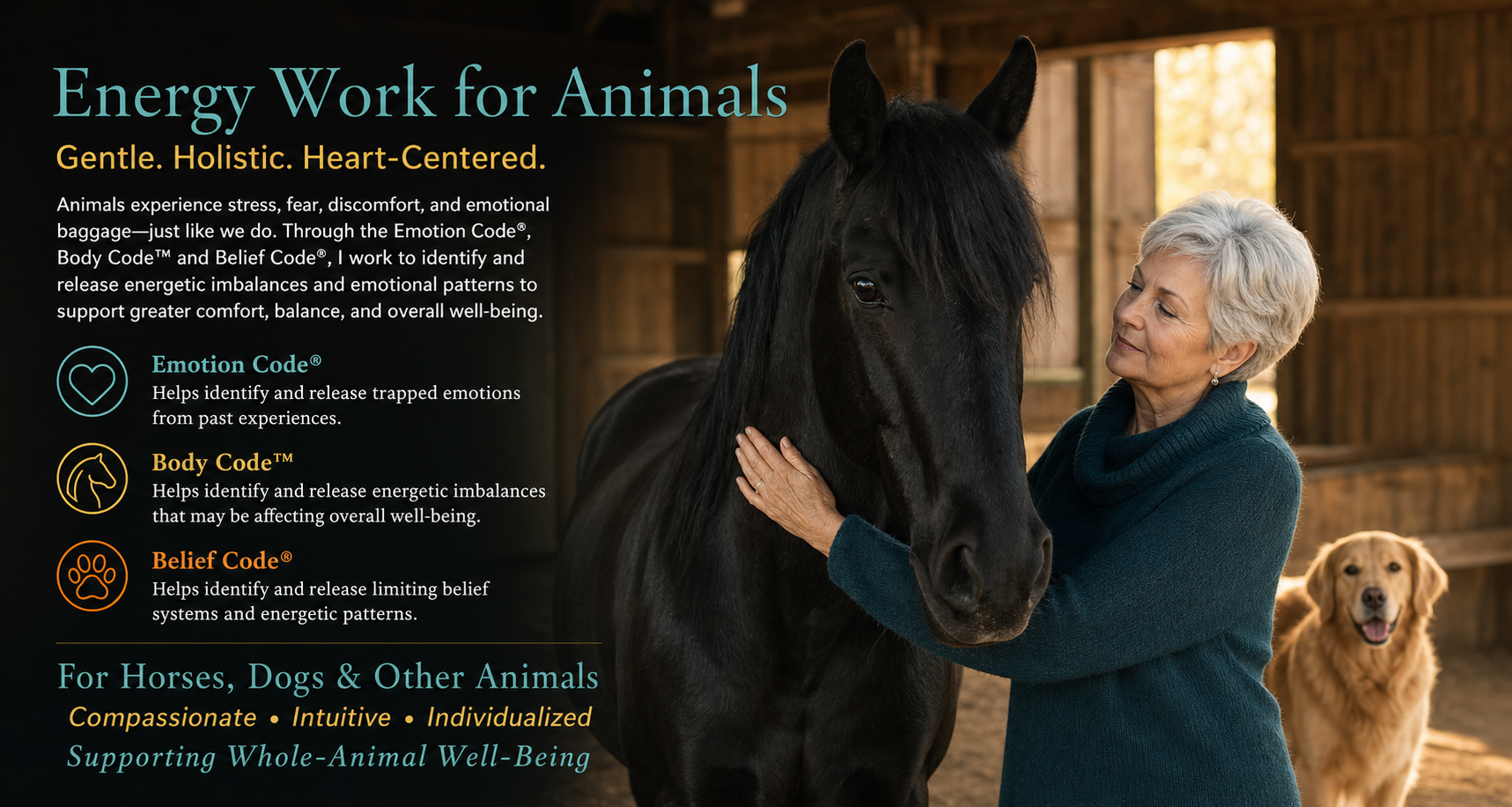 Woman gently touching a black horse in a stable beside information about energy work for animals.