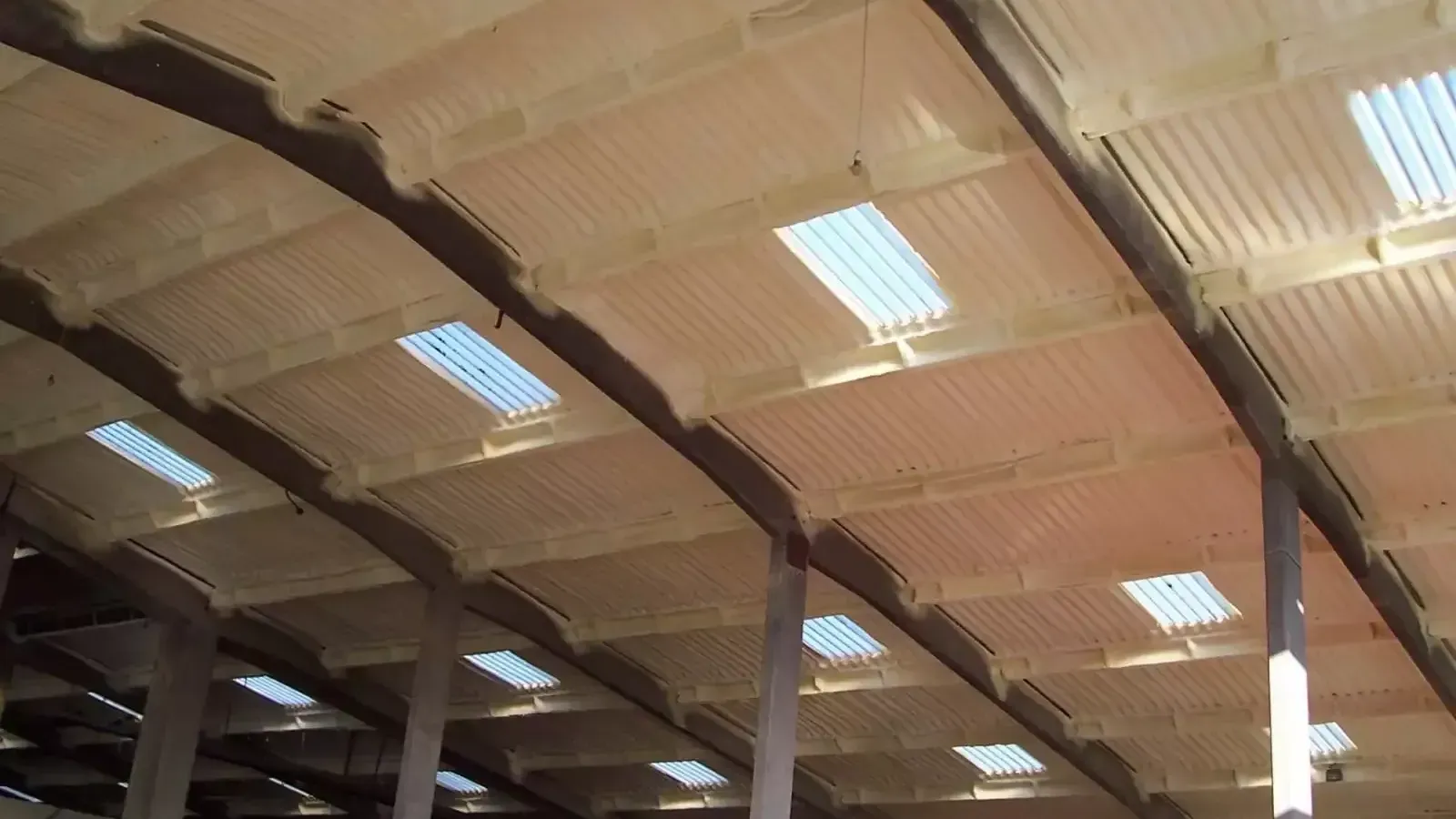 The ceiling of a building with a lot of lights on it