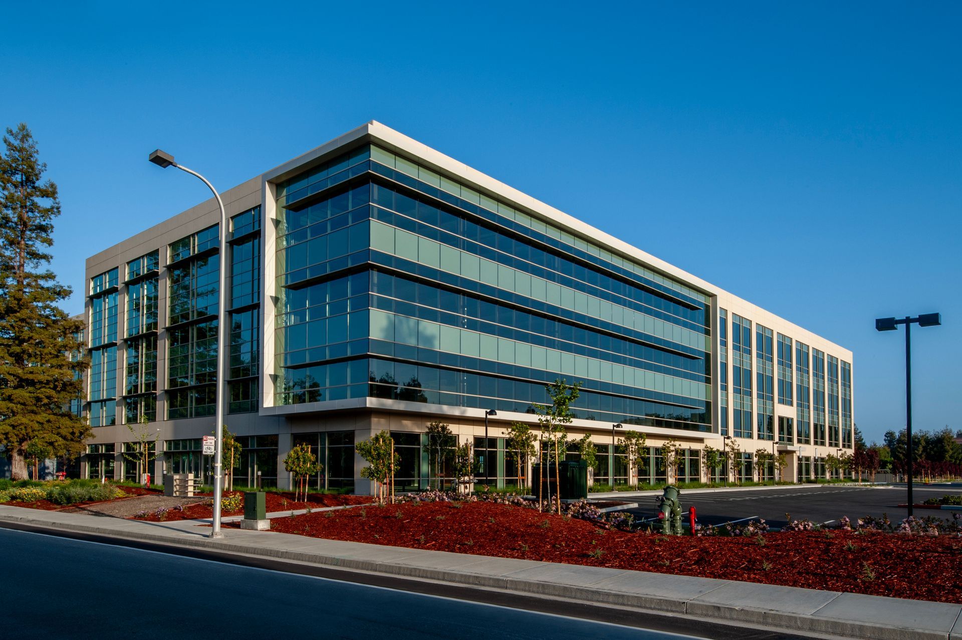 Modern glass office building with landscaped red shrubs under a clear blue sky