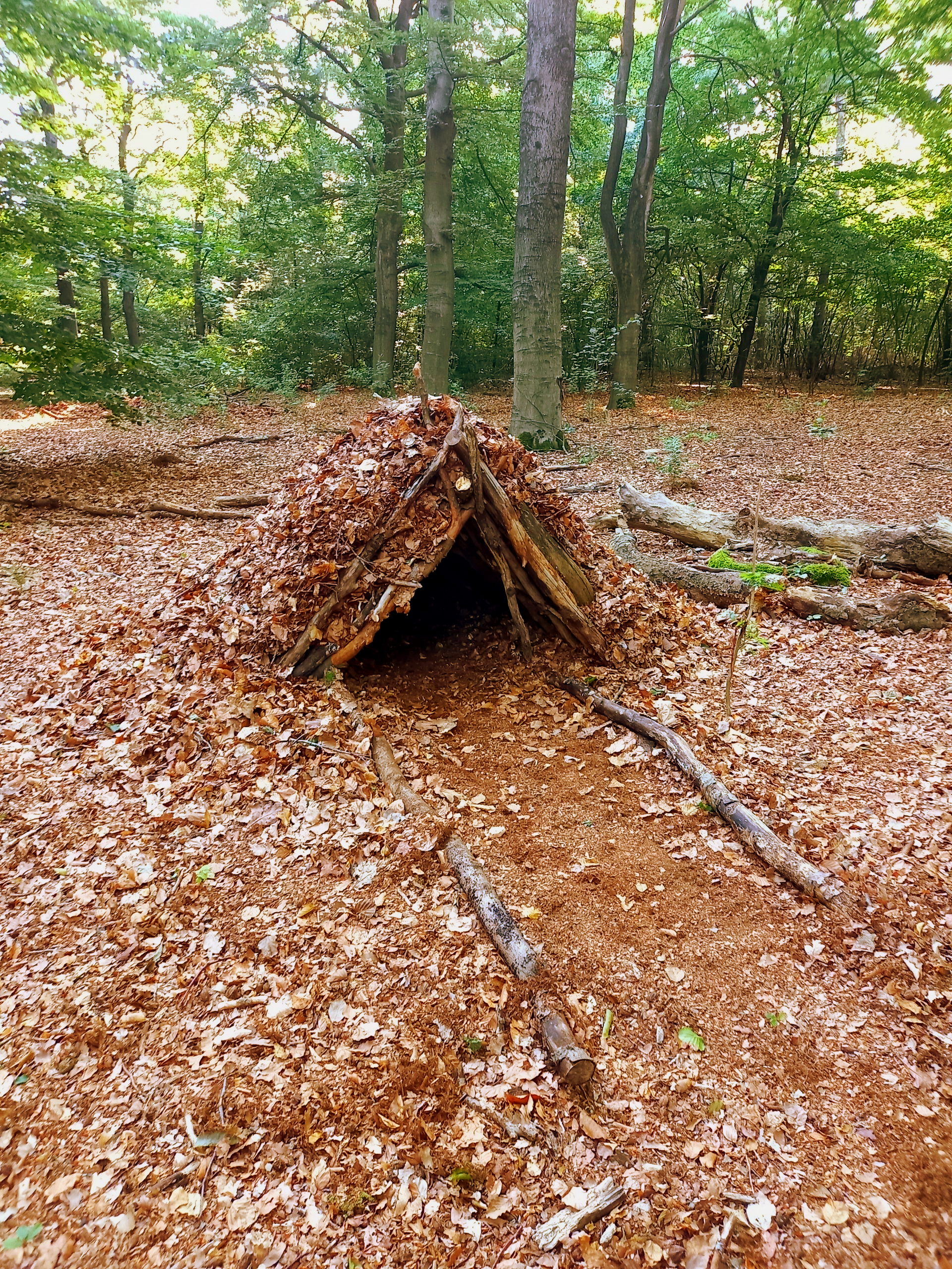 Natuurlijk shelter