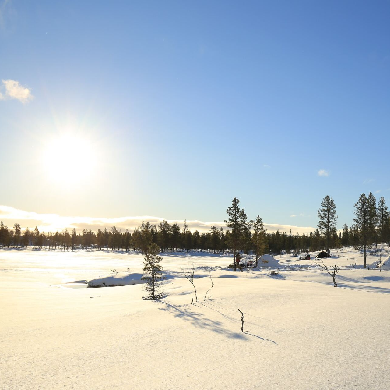 Winter Expeditie