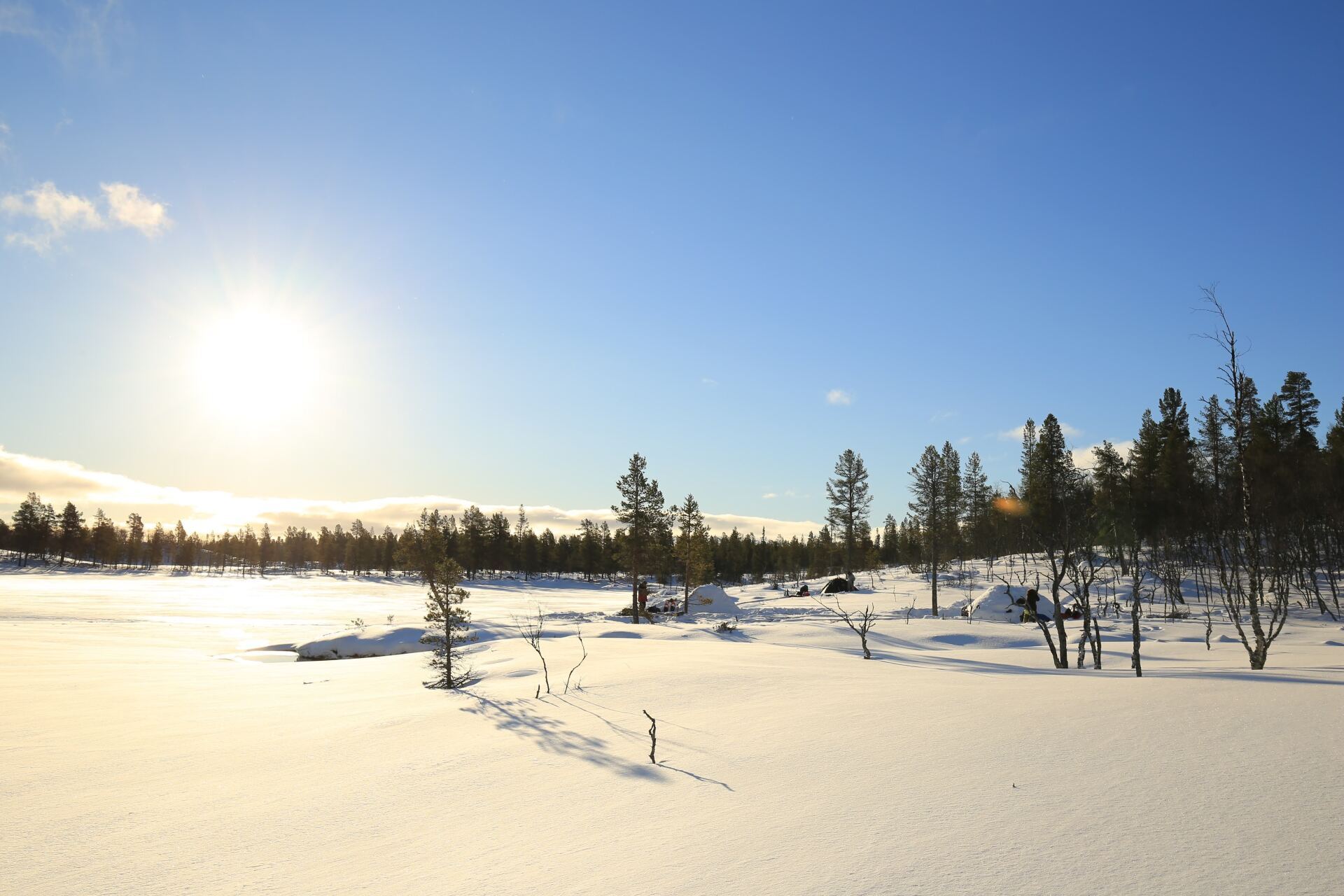 Winter Expeditie