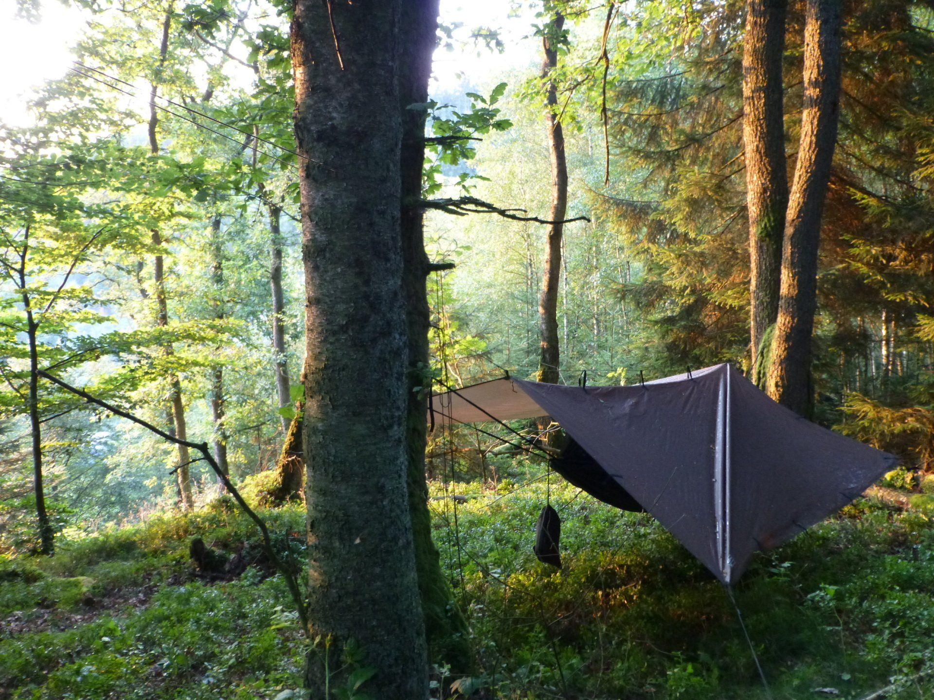 Bushcraft weekend tarp
