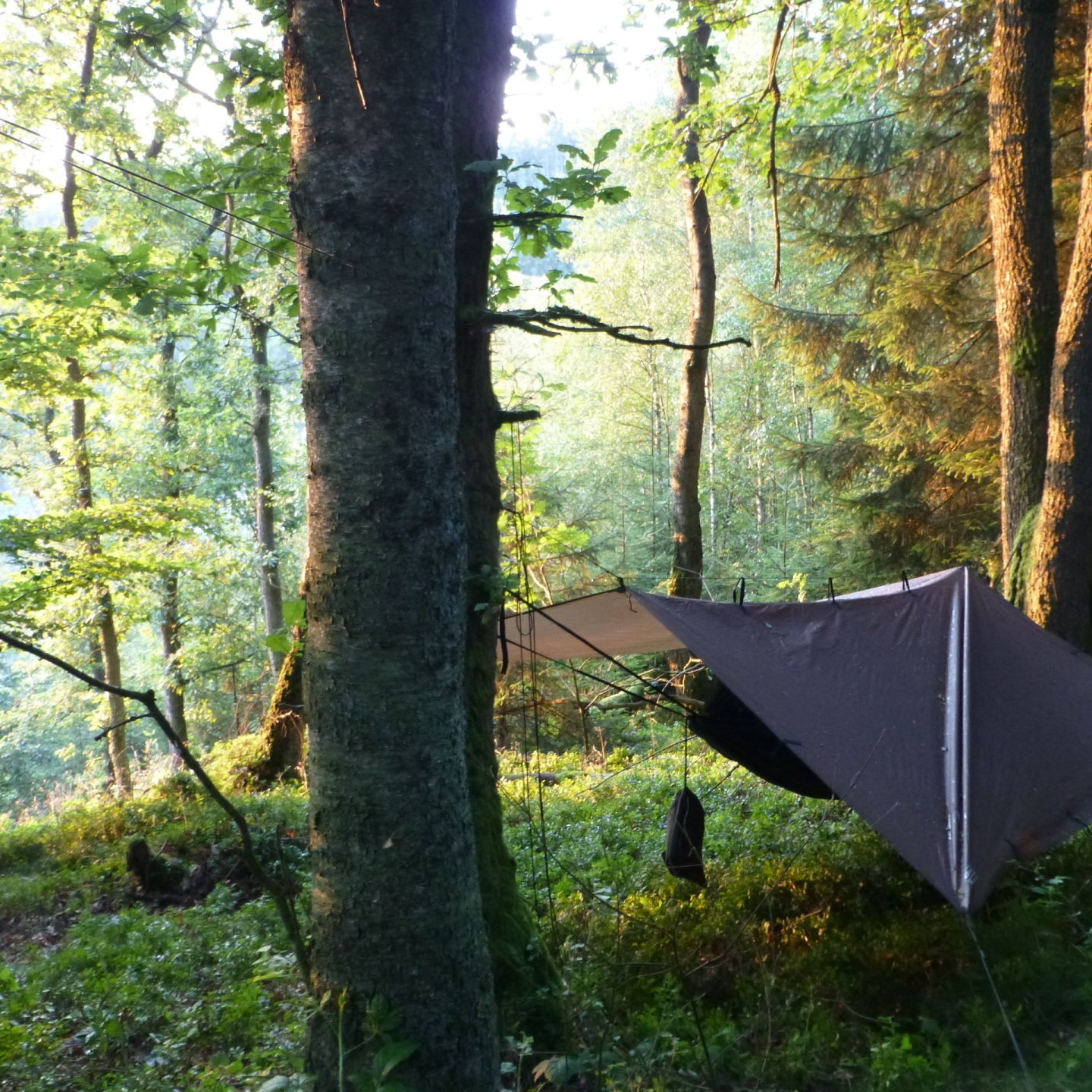 Bushcraft weekend