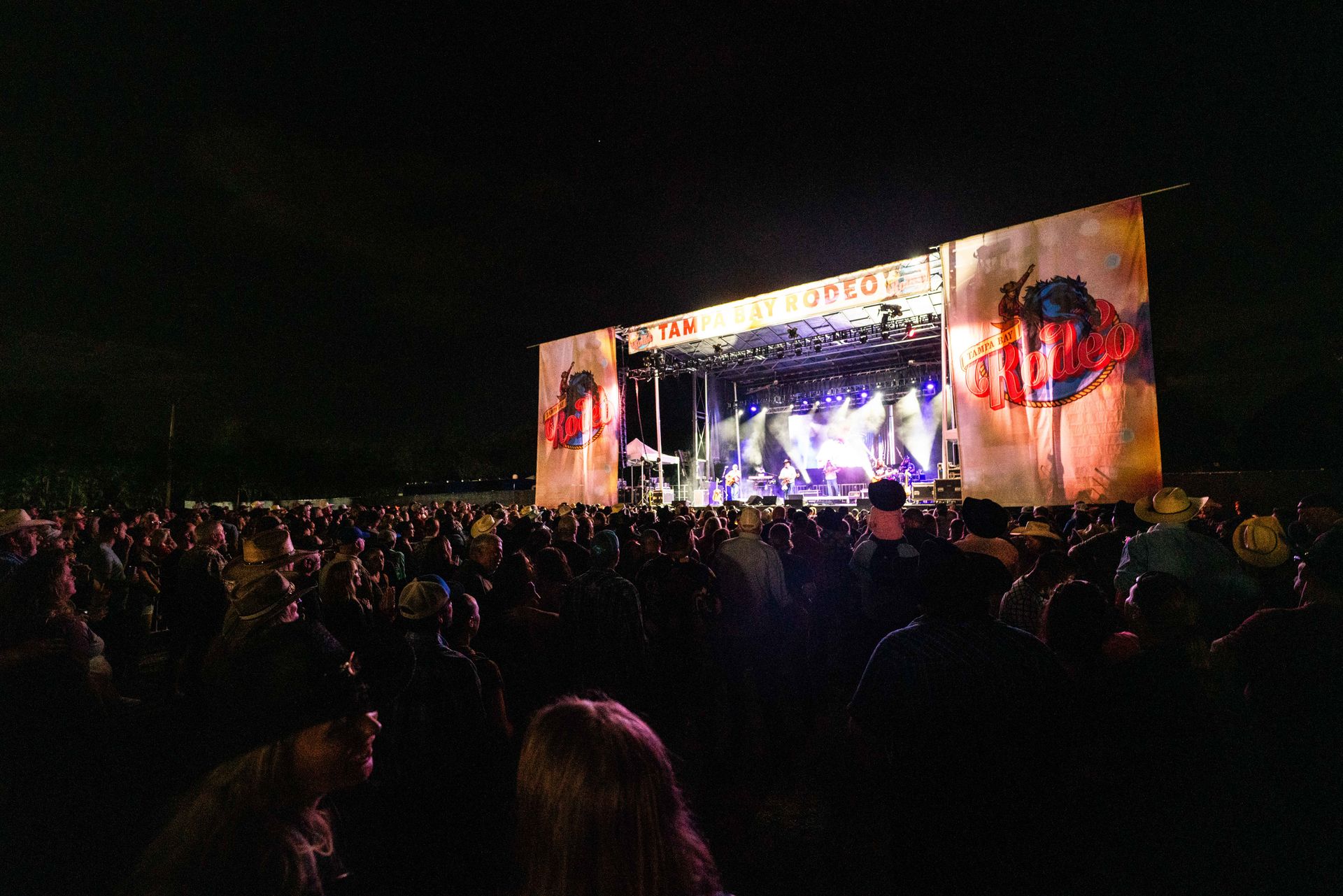 A crowd of people are watching a concert at night.