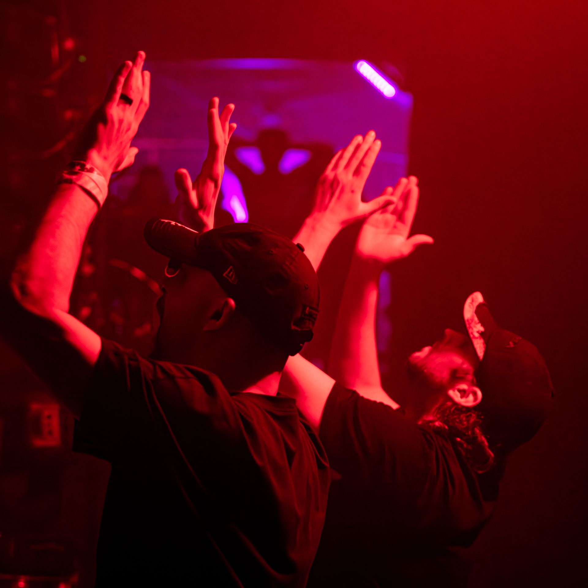 A group of people are raising their hands in the air at a concert.