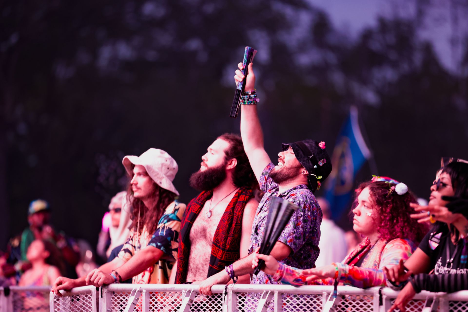 A group of people are standing in a crowd at a concert.