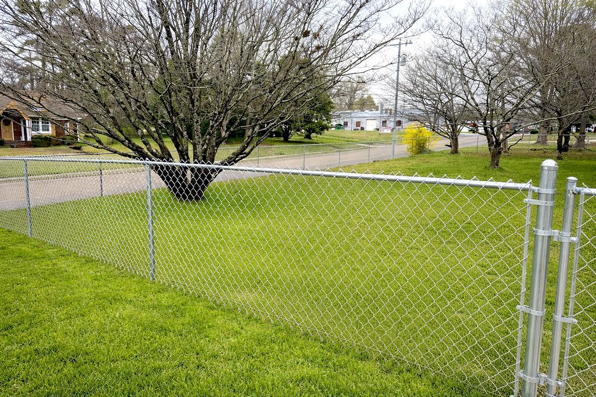 Chain-link fence encloses a green lawn, with bare trees and houses in the background.