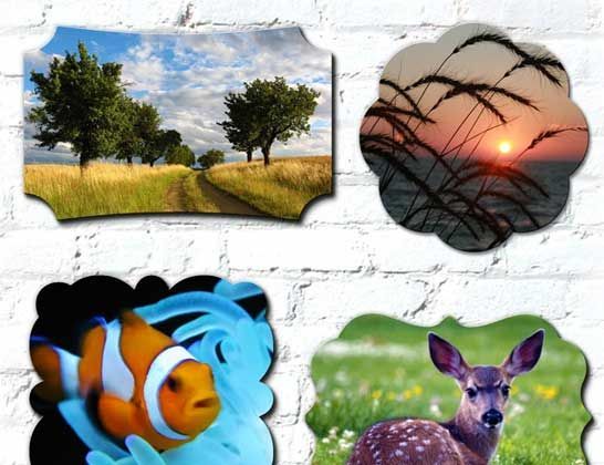 Collage of nature scenes: grassy field with trees, sunset through branches, clownfish, and a deer with a fawn