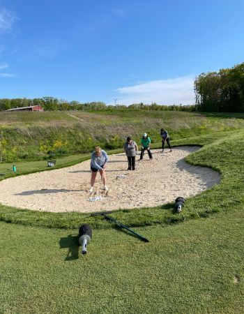 People practicing golf swings in a sand trap on a sunny day. Two dogs are in the grass.