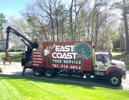 East Coast Tree Service | Reading, MA