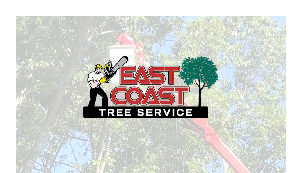 East Coast Tree Service | Reading, MA