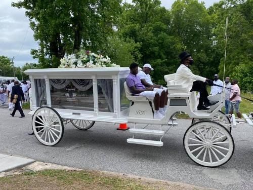 White horse-drawn carriage with passengers traveling down a tree-lined road