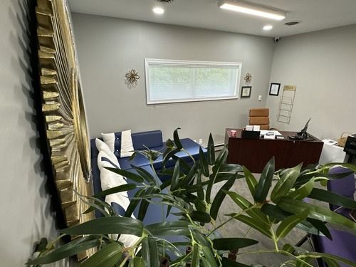 Small office lobby with chairs, desk, and large potted plant in the foreground