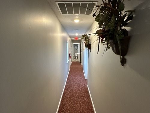 Narrow hallway with red carpet, white walls, ceiling vents, and hanging plants on the right