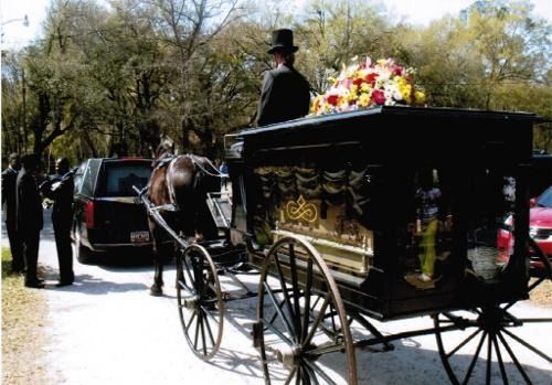 Horse-drawn black funeral carriage with flowers on a tree-lined street