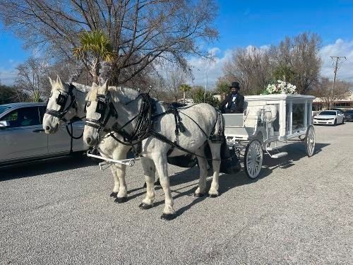 Two white horses pulling a white carriage down a gravel road in a sunny outdoor setting