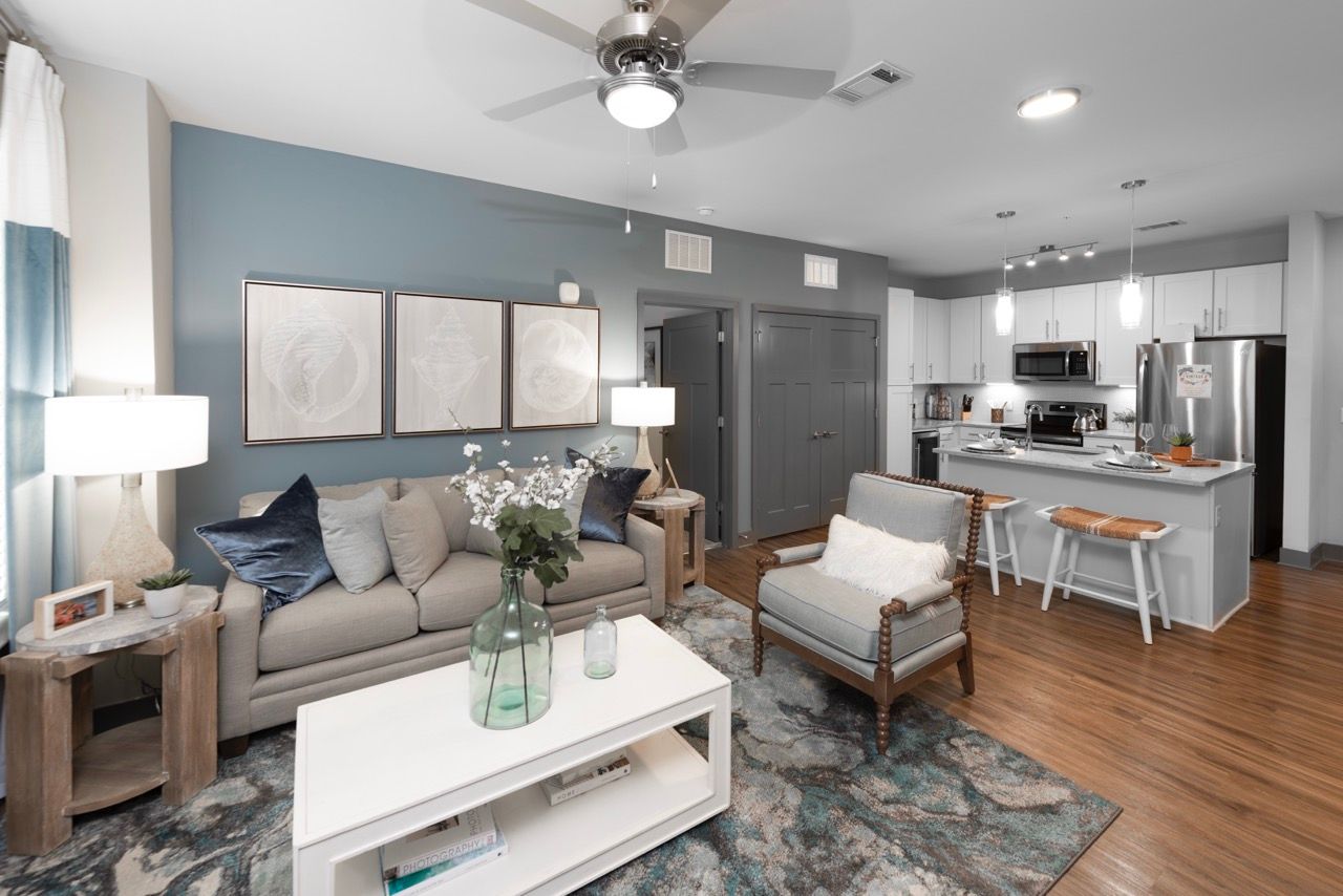 Open-concept living area in an apartment with a gray sofa, blue accent wall, and modern kitchen.