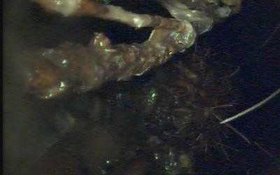 riprese durante una videoispezione