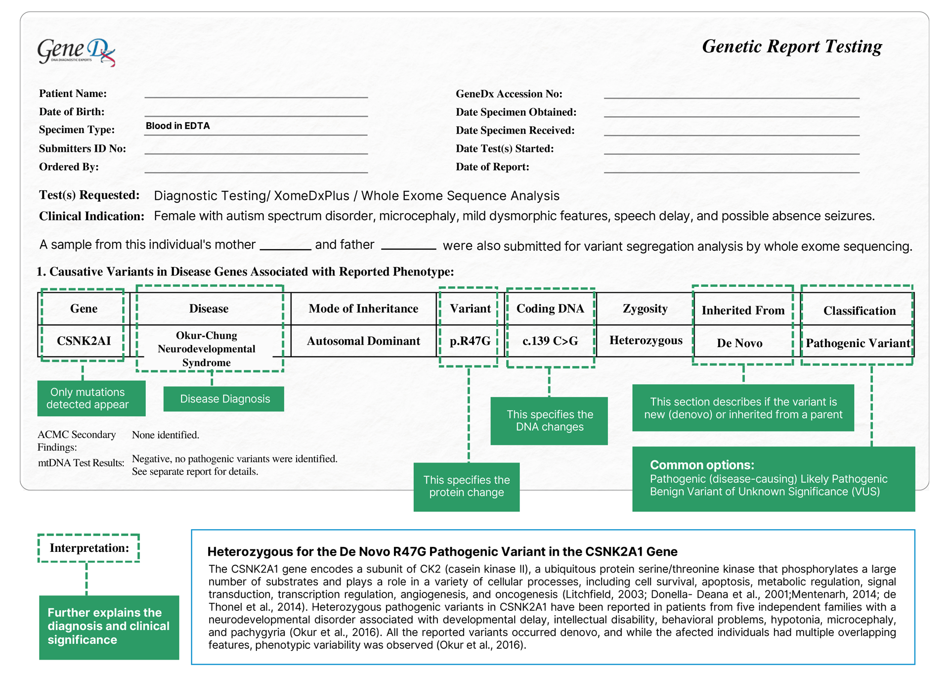 Genetic report template with various labeled sections and a pathway diagram in green.