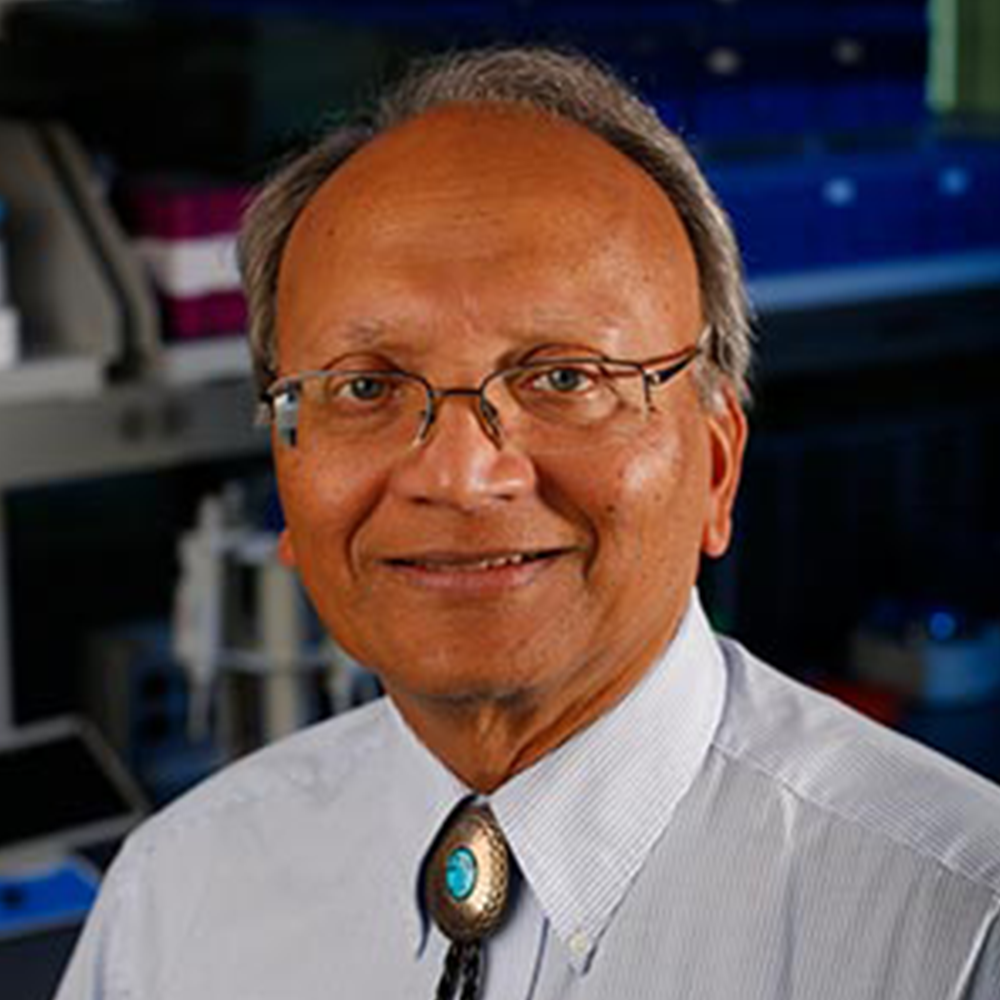 Vinodh Narayanan MD