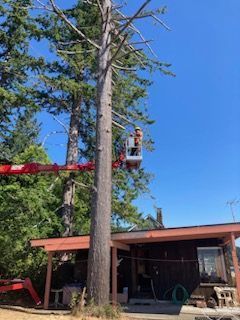Man On Equipment — Shelton, WA — Beko's Trees LLC & Wood Carving