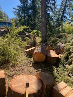 Logs Around Tree — Shelton, WA — Beko's Trees LLC & Wood Carving