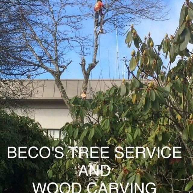 Man On Tree — Shelton, WA — Beko's Trees LLC & Wood Carving