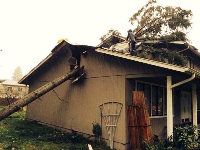 Tree On House — Shelton, WA — Beko's Trees LLC & Wood Carving