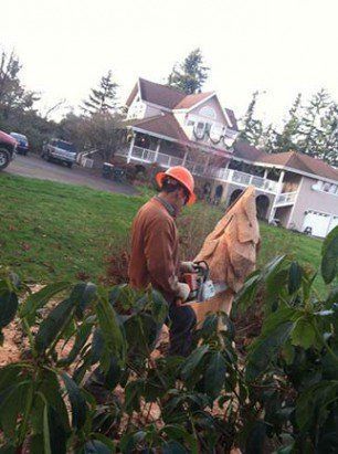 Man With Hard Hat Carving Wood — Shelton, WA — Beko's Trees LLC & Wood Carving
