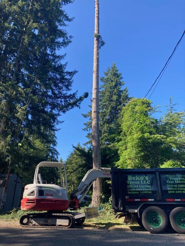 Tree Service Equipment — Shelton, WA — Beko's Trees LLC & Wood Carving