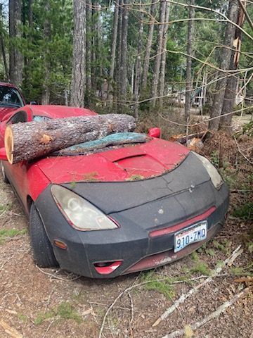 Car With Log — Shelton, WA — Beko's Trees LLC & Wood Carving